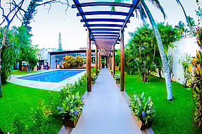 Casa Da Árvore - Cabo Frio - Palmeiras